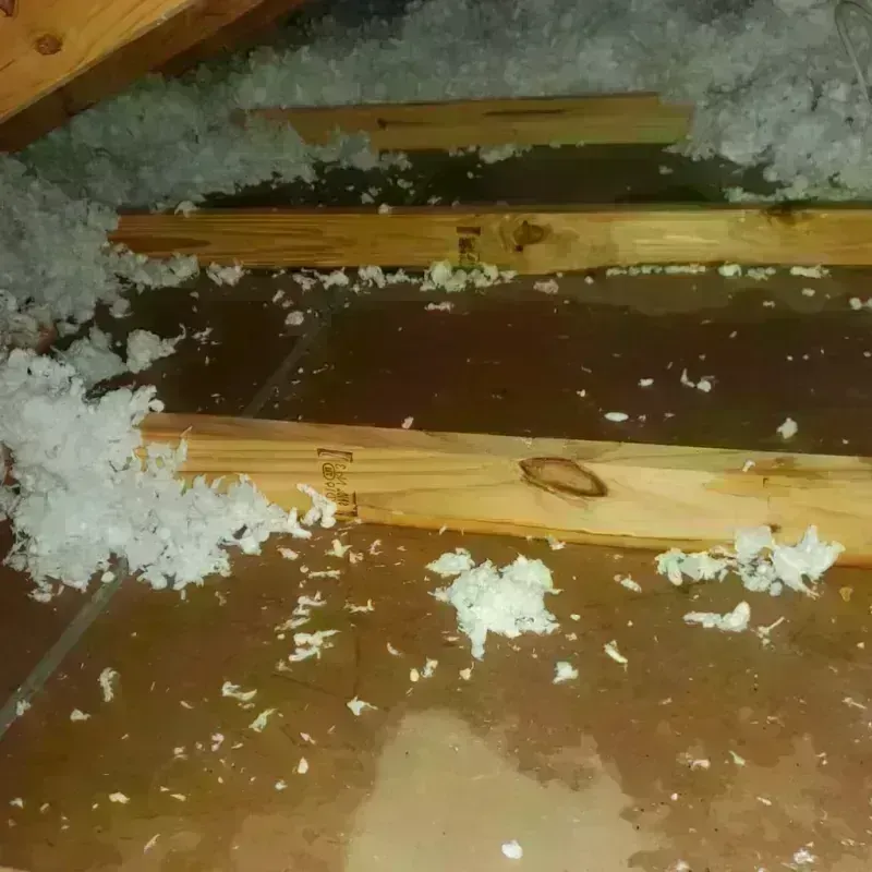 Attic Water Damage in Sunrise Lake, PA