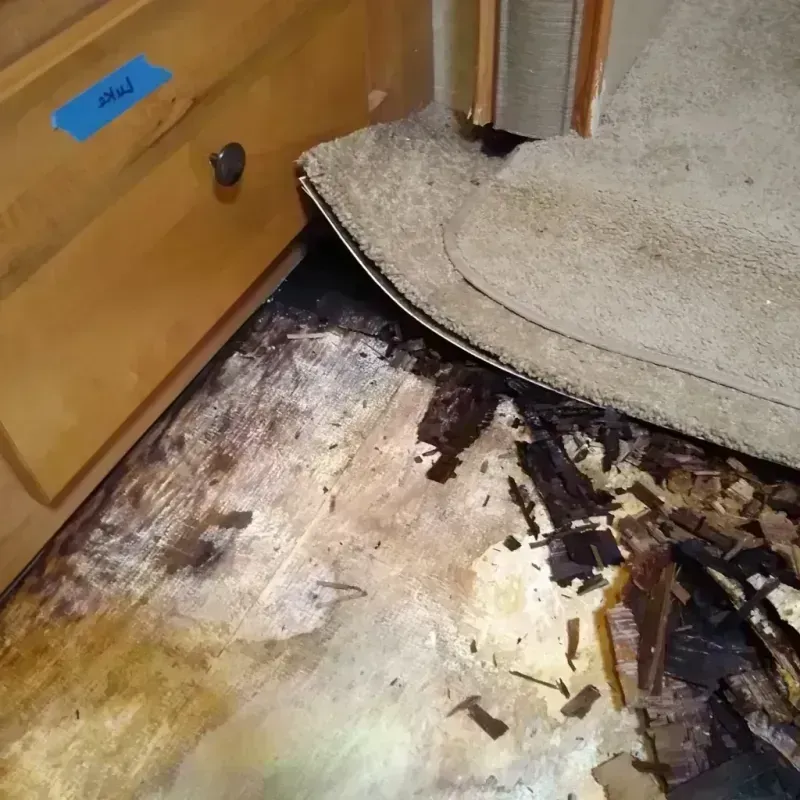 Wood Floor Water Damage in Sunrise Lake, PA